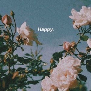 Meet your Posher, Stella